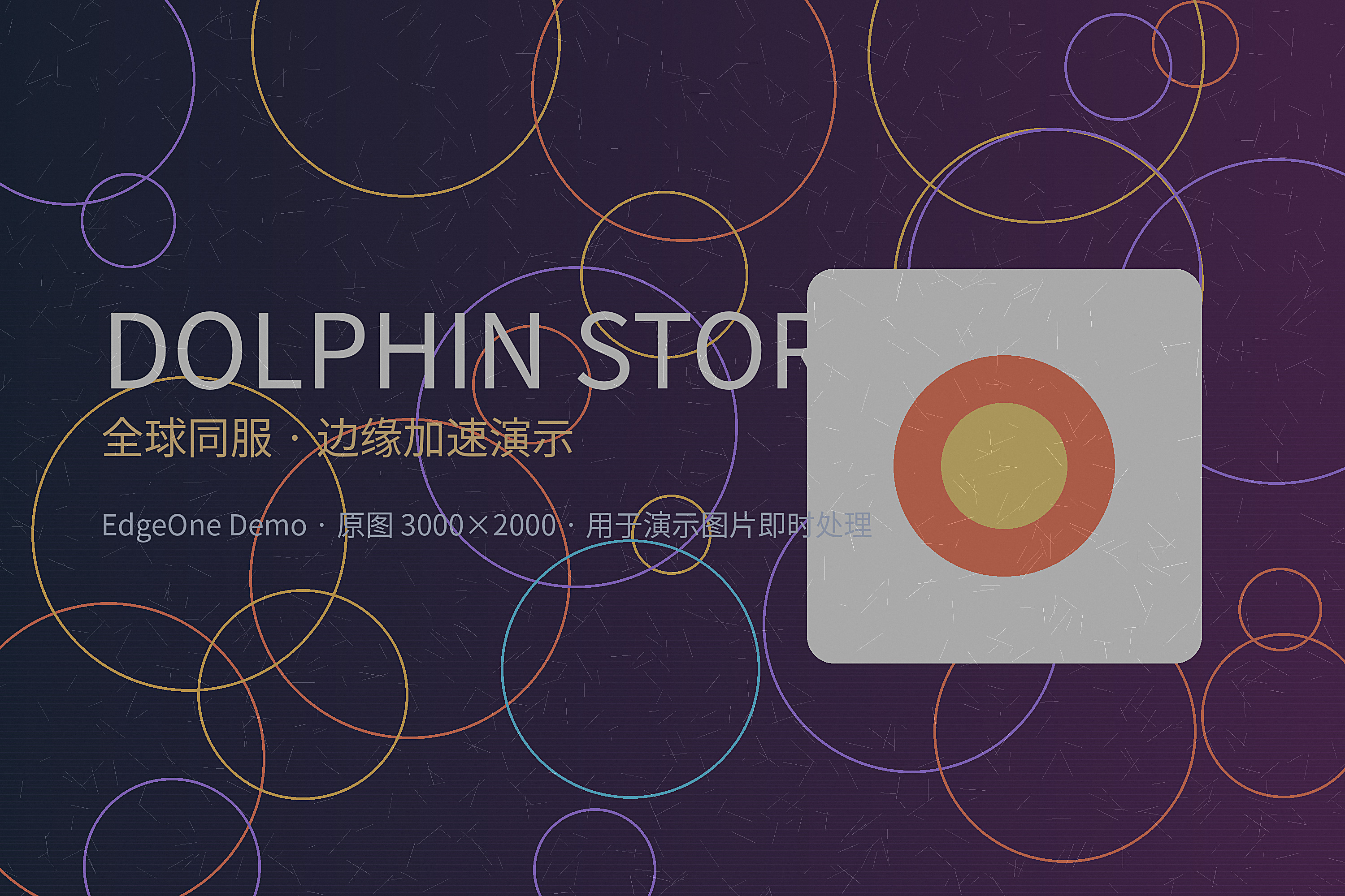 Dolphin Store 主视觉